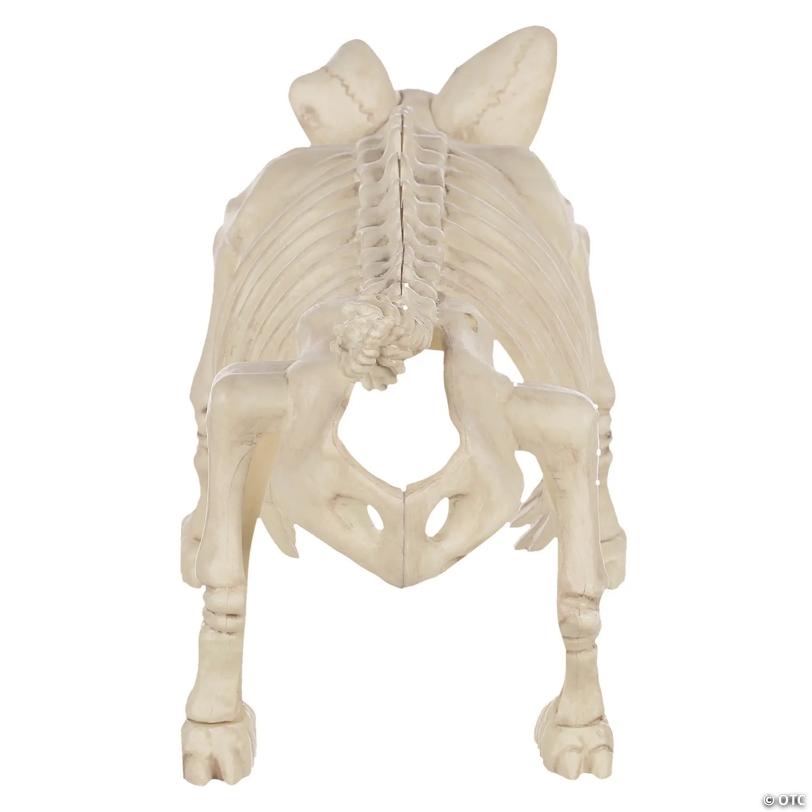 12" Pig Skeleton Halloween Decoration