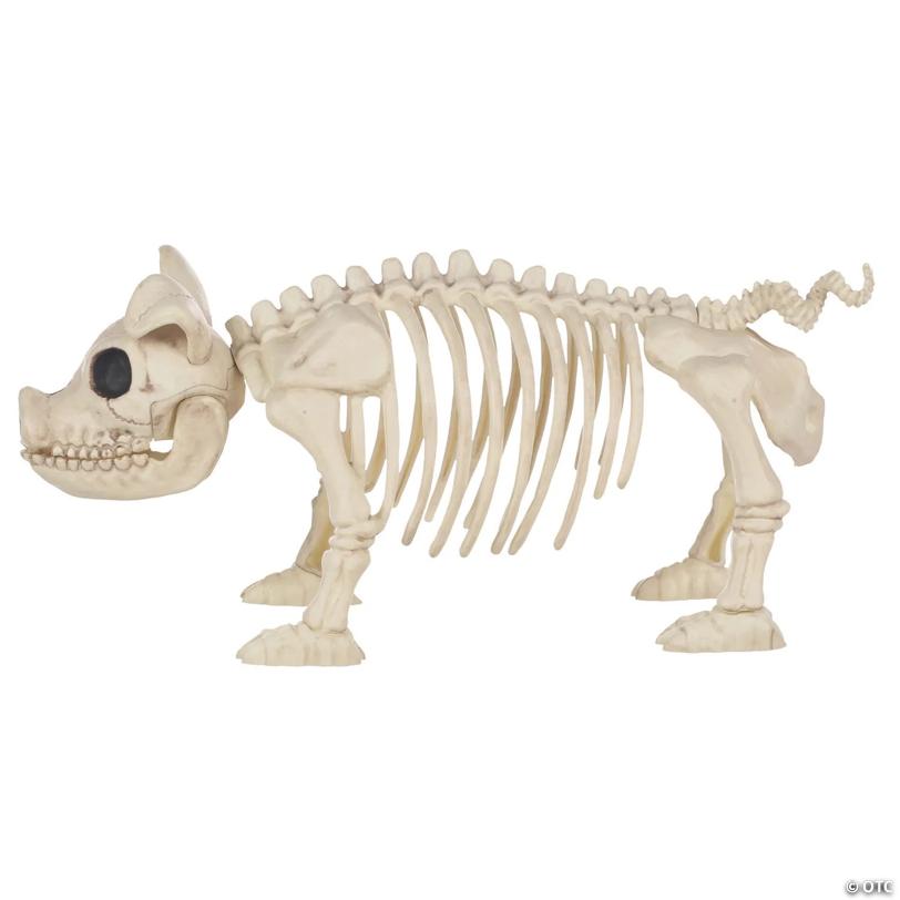 12" Pig Skeleton Halloween Decoration
