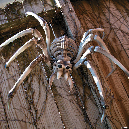 Giant Spider Skeleton Halloween Decoration | USA Decoration®