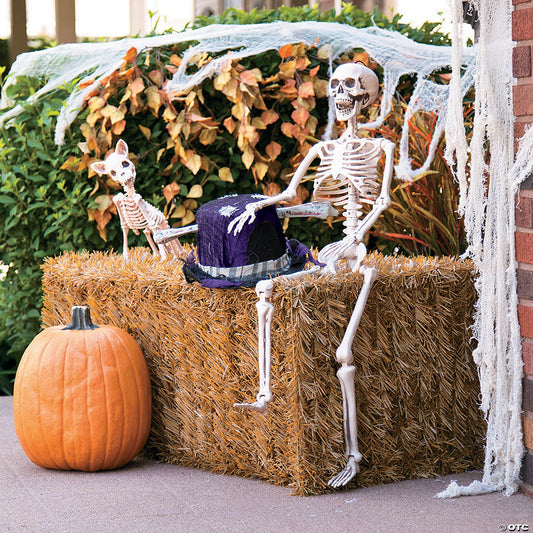 3' Posable Skeleton Halloween Decoration | USA Decoration®