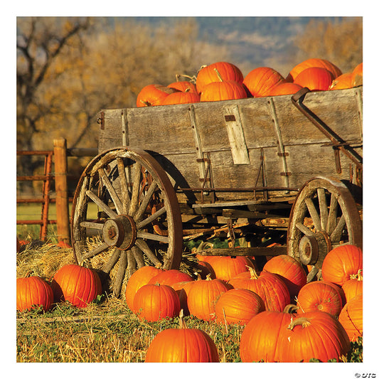 1 Piece(s): 6 Ft. x 6 Ft. Fall Pumpkin Patch Design-a-Room Plastic Backdrop | USA Decoration®