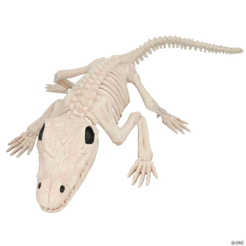 13 1/2" Crocodile Skeleton Halloween Decoration