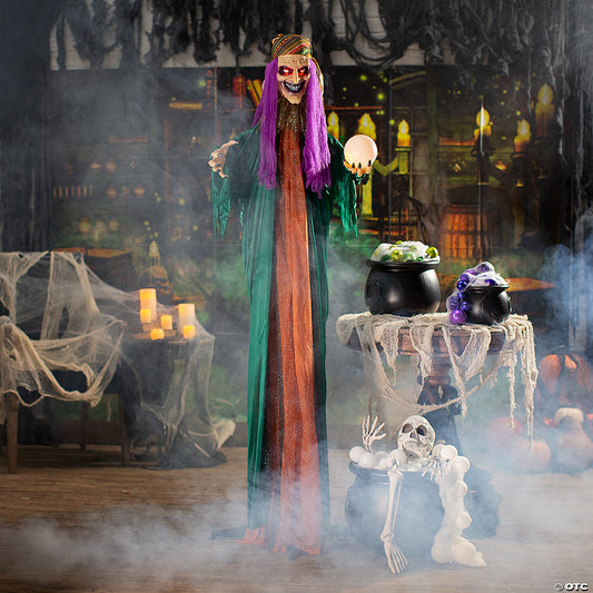 9 Ft. Fortune Teller Witch Decorating Kit - 7 Pc. | USA Decoration®