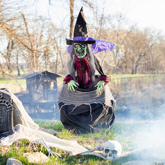 5 Ft. Animated Witch with Cauldron Standing Halloween Decoration | USA Decoration®