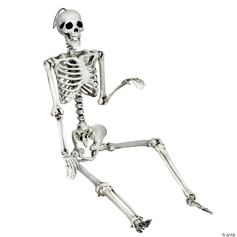 Costway 5.4ft Halloween Skeleton Life Size Realistic Full Body Hanging w/ Movable Joints | USA Decoration®