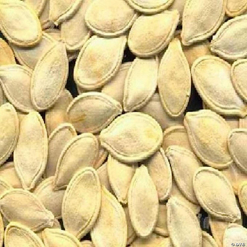 27 Piece(s): Bulk Seeds Organic Pumpkin Seeds - Single Bulk Item - 27LB | USA Decoration®
