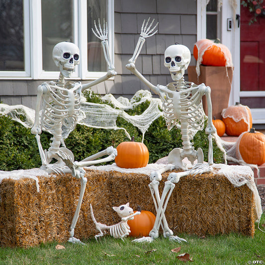 Neighborly Skeletons with Dog Hallloween Decorating Kit - 7 Pc. | USA Decoration®