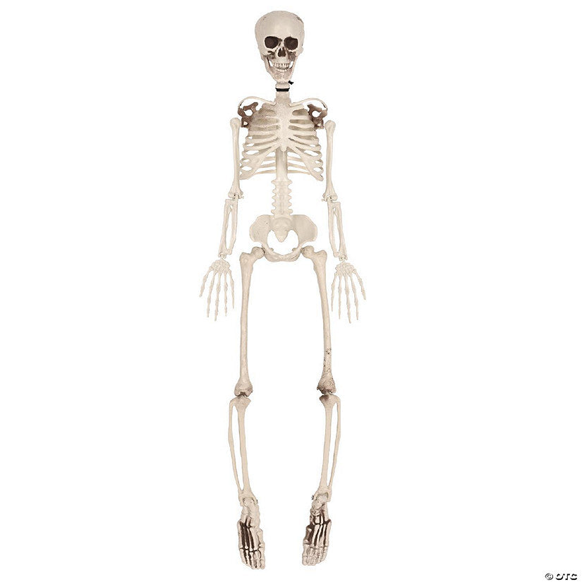 Beistle - Plastic Skeleton - 1 Pack | USA Decoration®