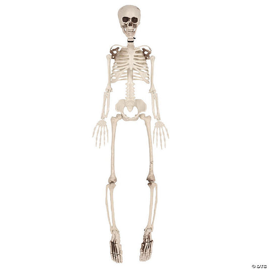 Beistle - Plastic Skeleton - 1 Pack | USA Decoration®