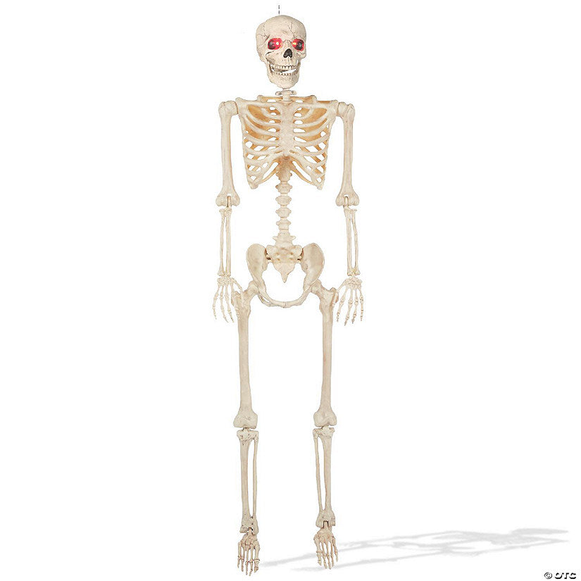 BOO BOX 5' Animated Full Size Halloween Skeleton Decoration, Lightup Eyes and Speaker | USA Decoration®