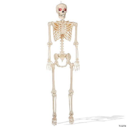 BOO BOX 5' Animated Full Size Halloween Skeleton Decoration, Lightup Eyes and Speaker | USA Decoration®