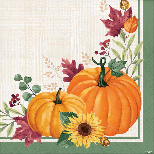 48 Piece(s): Creative Converting Harvest Wishes Thanksgiving Pumpkin Paper Napkins, 48 ct | USA Decoration®