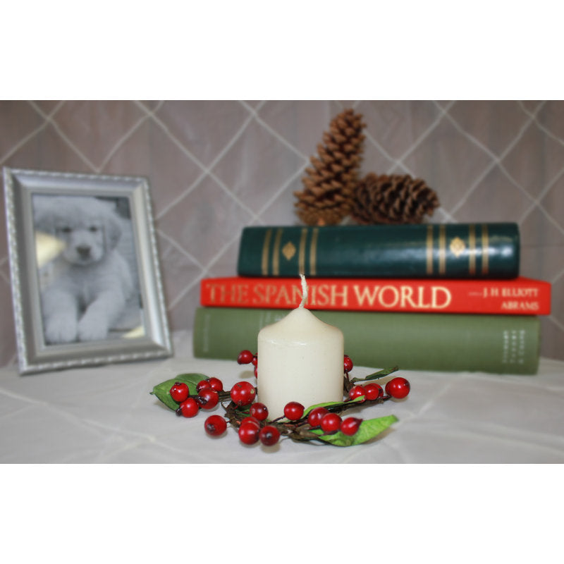 20" Christmas Wreath displayed on a front door