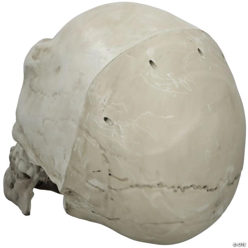 22" Giant Articulated Plastic Skull Halloween Decoration
