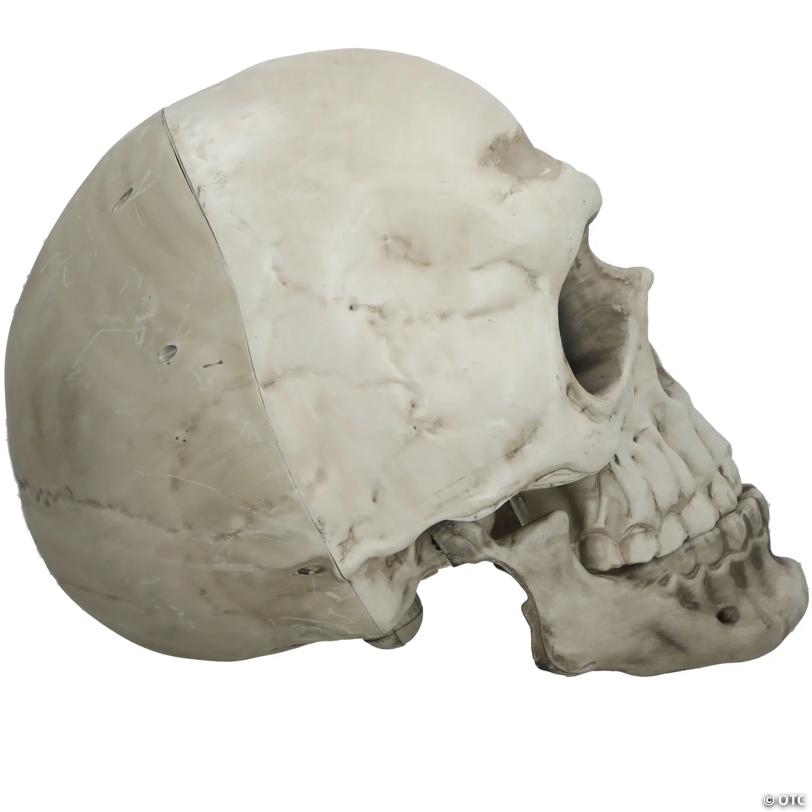 22" Giant Articulated Plastic Skull Halloween Decoration