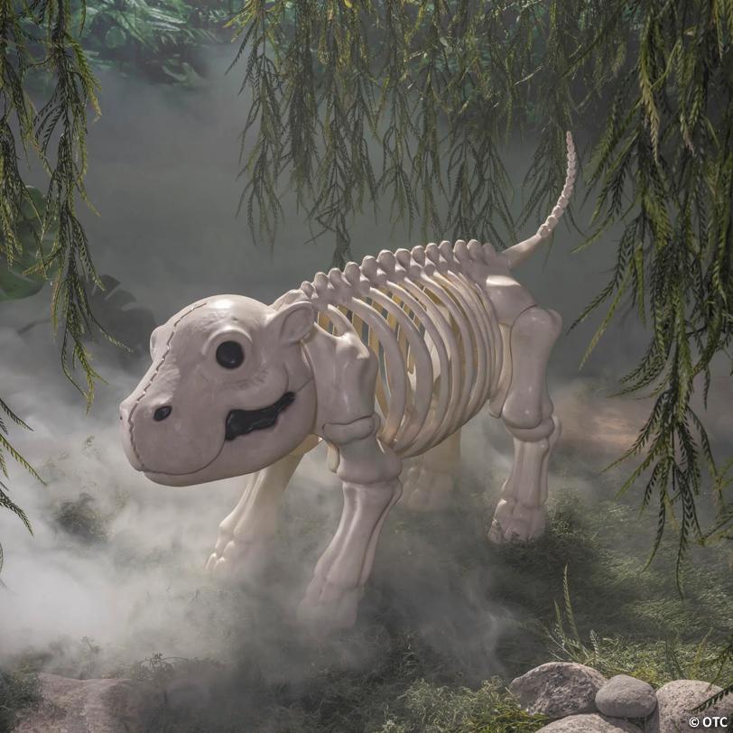 22" Standing Hippo Skeleton Halloween Decoration