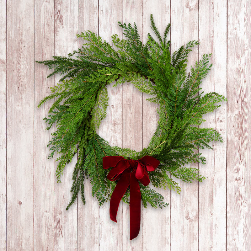 24" Christmas Wreath displayed on a front door