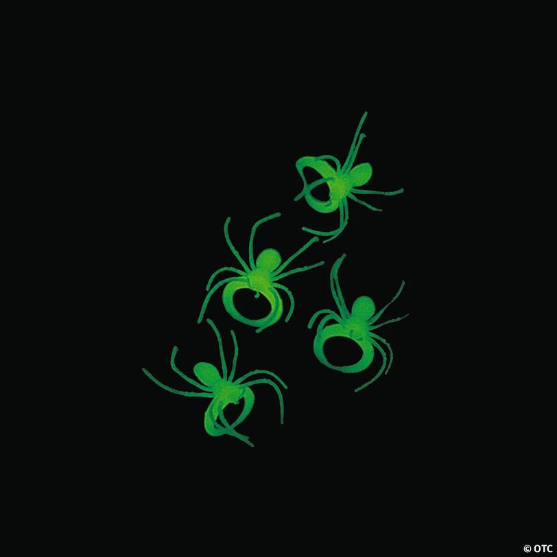 2" Bulk 144 Pc. Glow-in-the-Dark Plastic Spider Novelty Rings