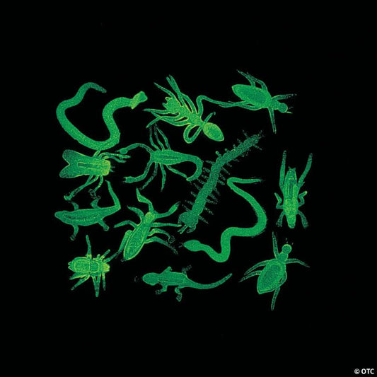 2" Bulk 144 Pc. Mini Glow-in-the-Dark Creepy Crawly Vinyl Bugs
