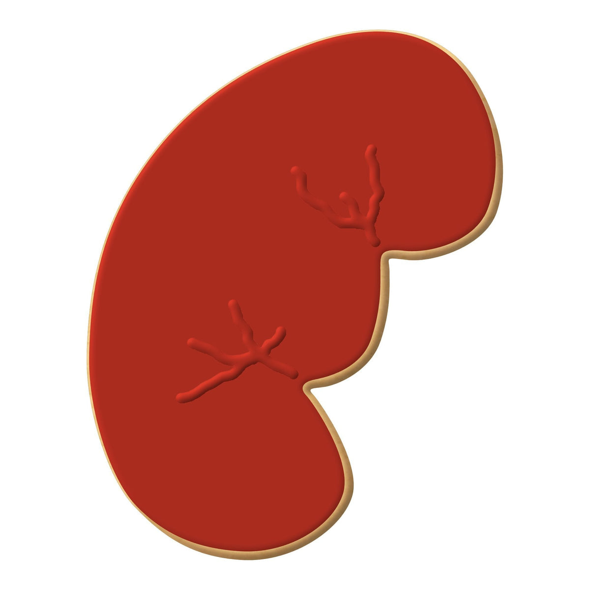 Kidney Cookie Cutter 4 in PC0189