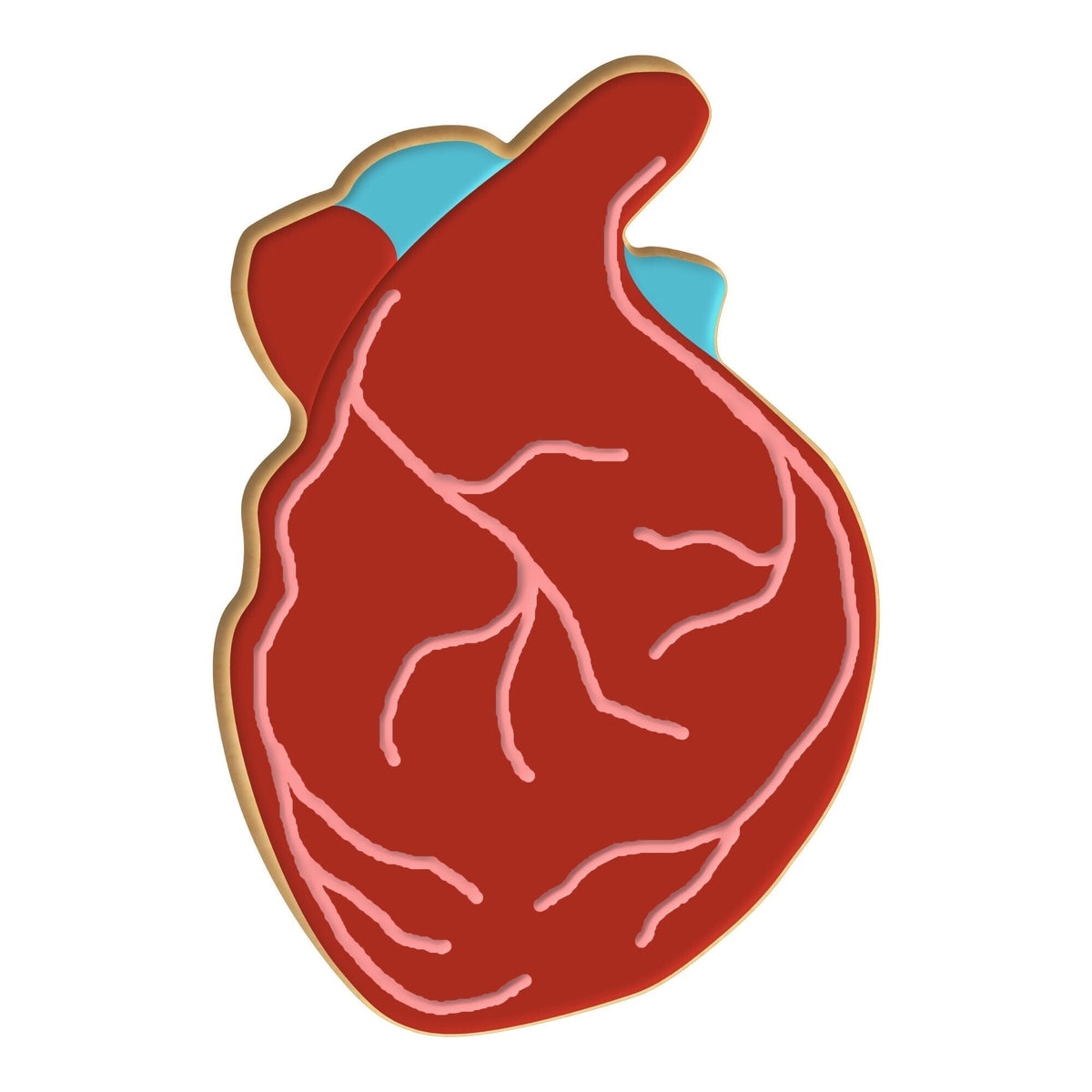 Anatomical Heart Cookie Cutter 4 in
