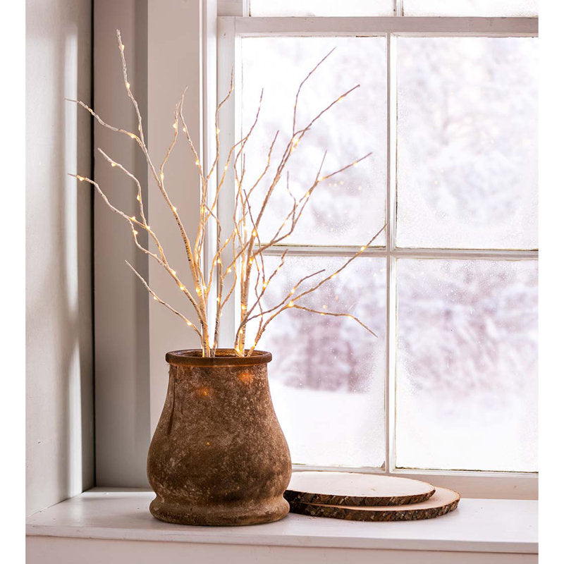 34" Birch Lighted Branches