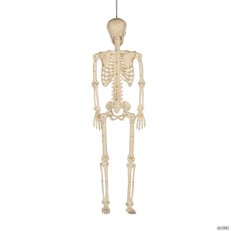 36" Hanging Multi Pose-N-Stay Skeleton Halloween Decoration
