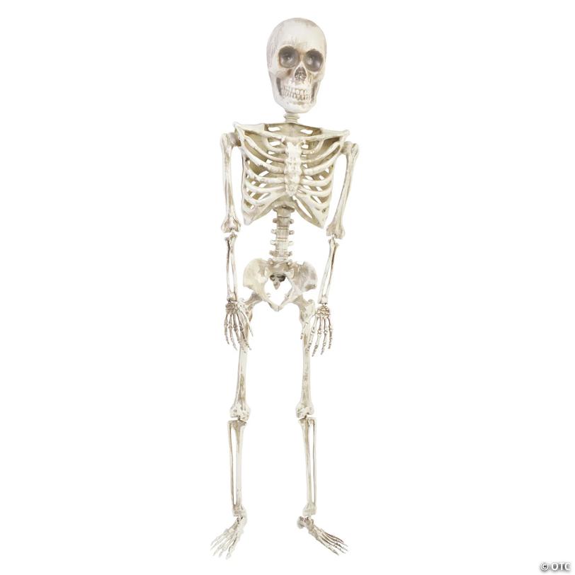 36" Posable Articulated Skeleton Halloween Decoration
