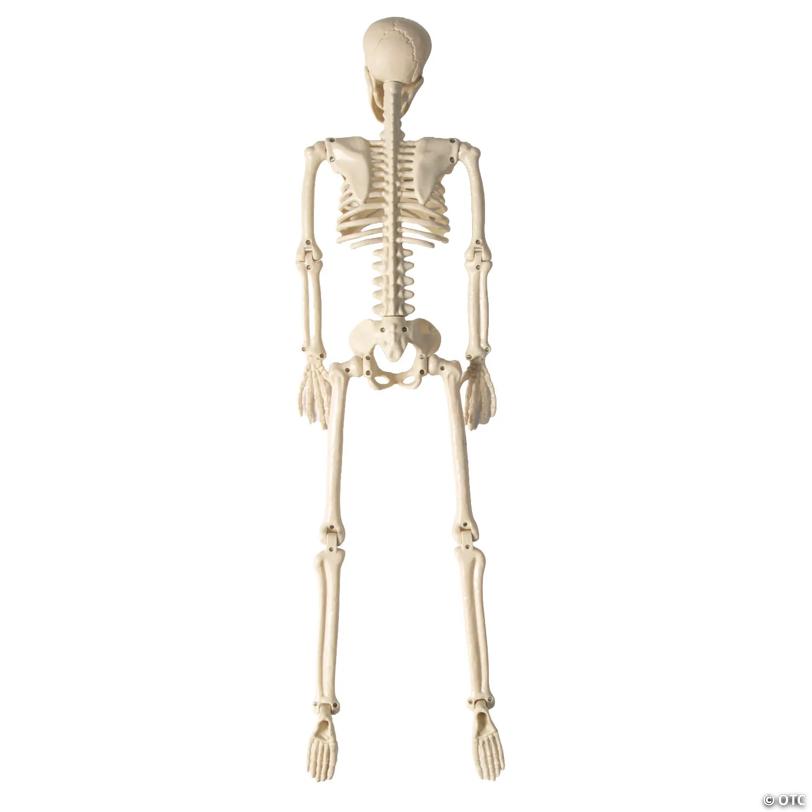 3 Ft. Posable Skeleton with Tattoos Halloween Decoration