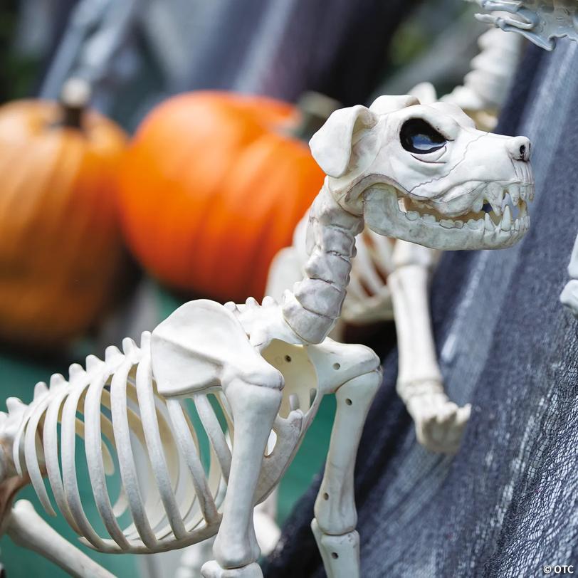 3 Ft. x 21" Buster Bonez Dog Skeleton Platic Halloween Decoration