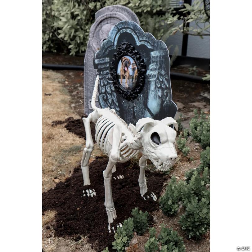 3 Ft. x 21" Buster Bonez Dog Skeleton Platic Halloween Decoration