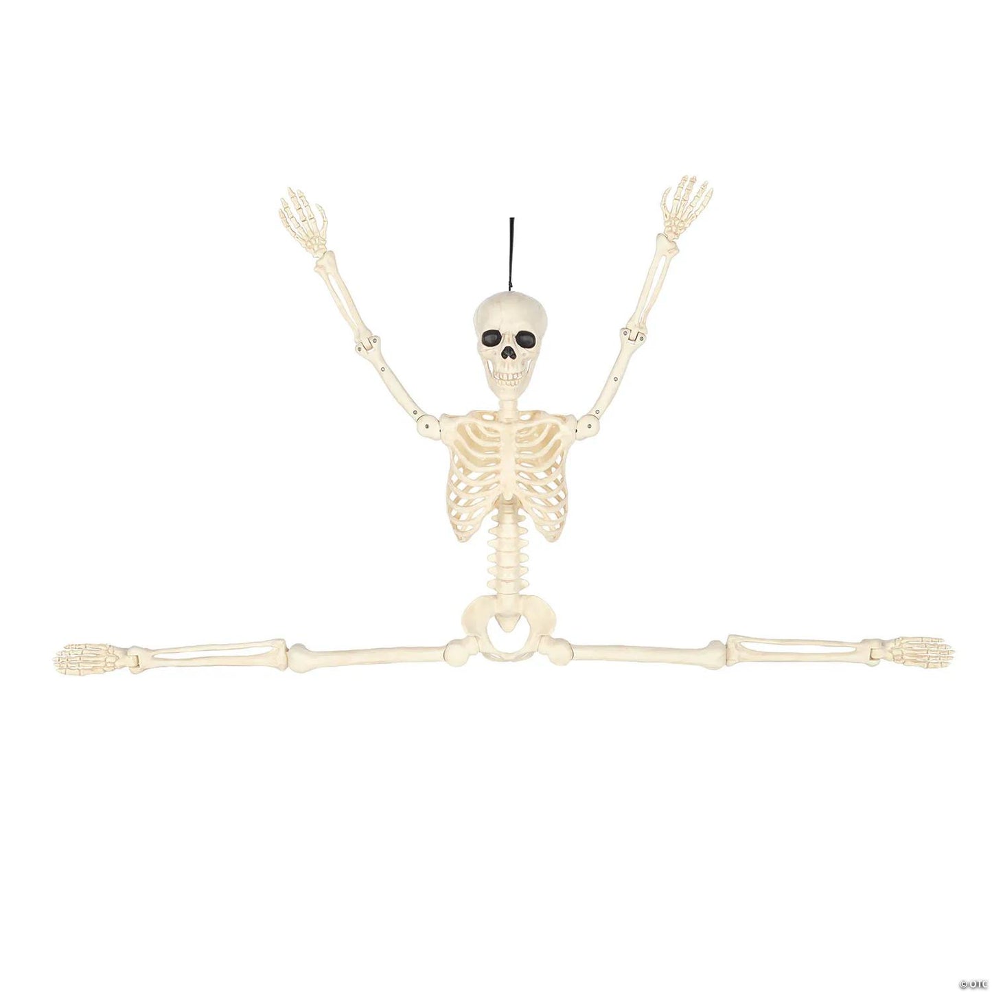 5 Ft. Hanging Multi Pose-N-Stay Life-Size Skeleton Halloween Decoration