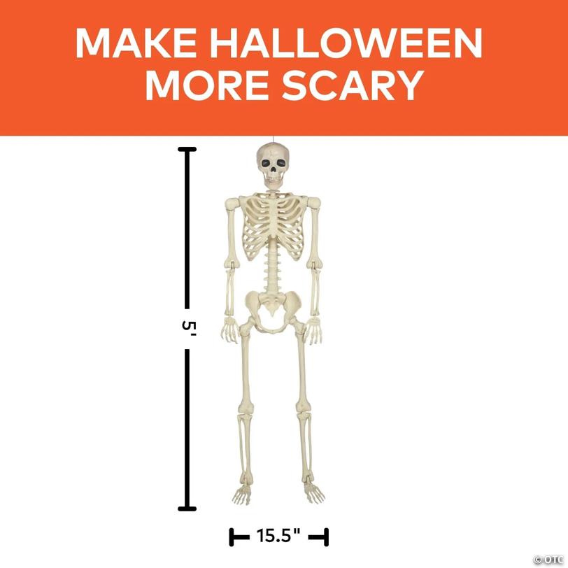 5 Ft. Hanging Multi Pose-N-Stay Life-Size Skeleton Halloween Decoration