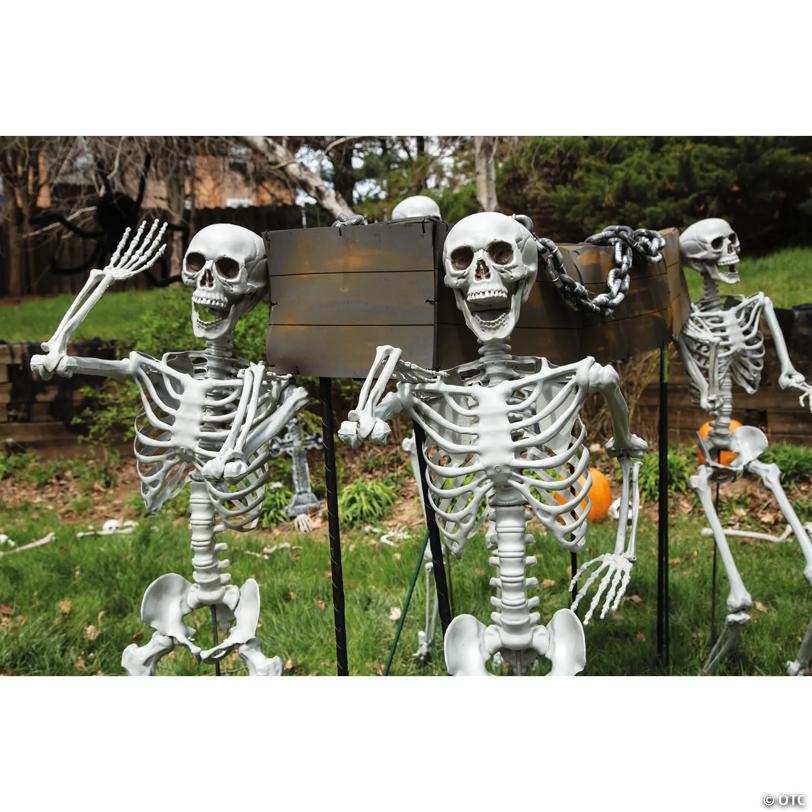 5 Ft. Life Size Posable Skeleton Halloween Decorations - 4 Pc.
