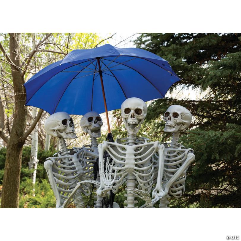 5 Ft. Life Size Posable Skeleton Halloween Decorations - 4 Pc.