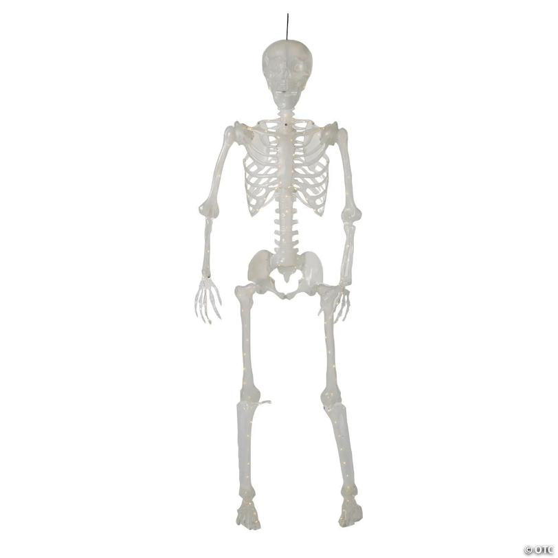5 Ft. Light-Up Translucent Plastic Skeleton Decoration