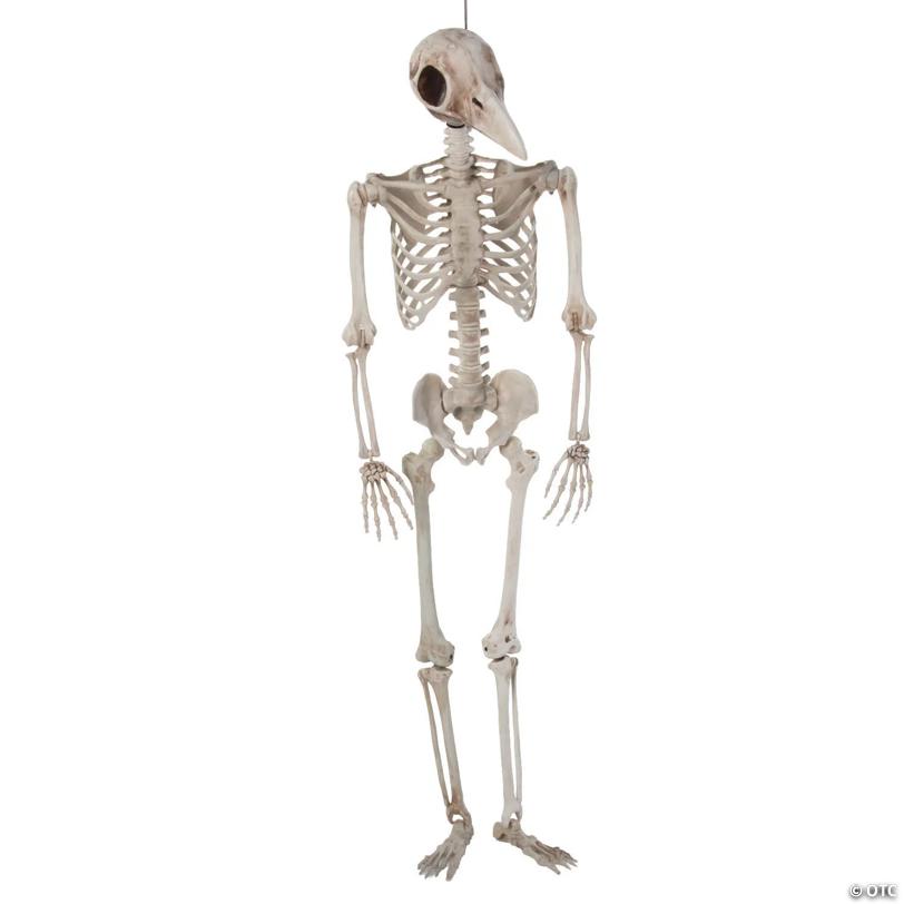 5 ft. Bird Man Plastic Jointed Skeleton Decoration