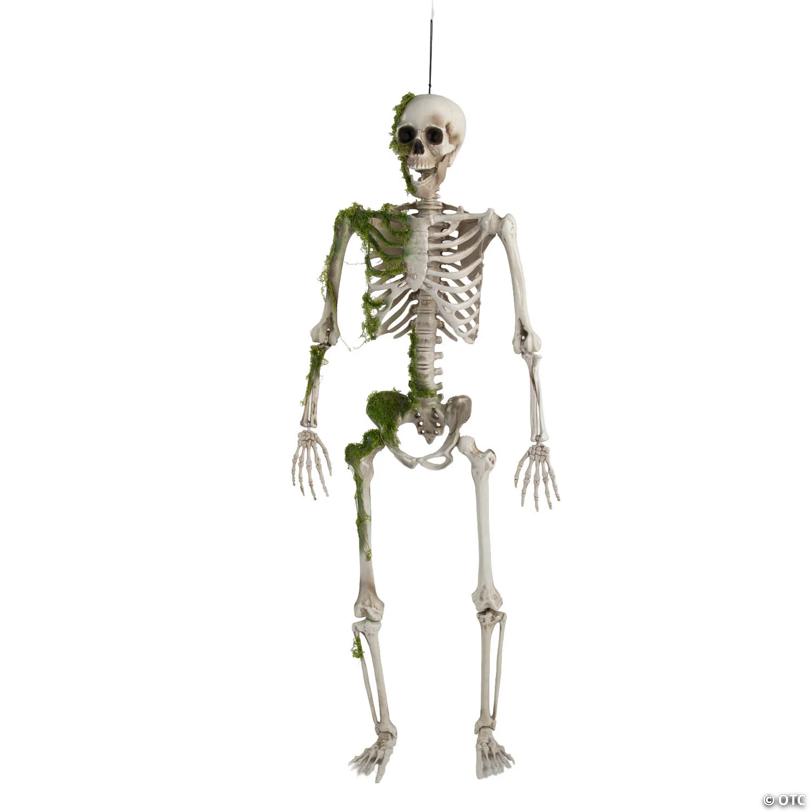 5 ft. Mossy Decaying Plastic Skeleton Halloween Decoration Prop