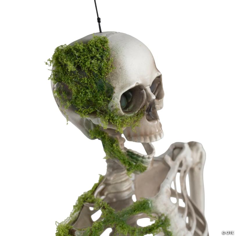 5 ft. Mossy Decaying Plastic Skeleton Halloween Decoration Prop