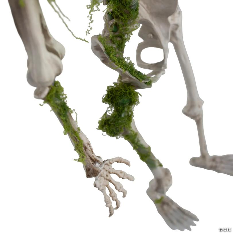 5 ft. Mossy Decaying Plastic Skeleton Halloween Decoration Prop