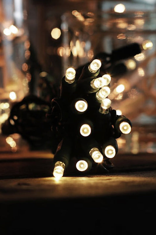 100 LED Waterproof Multifunction String Light with Green Wire Plug in | USA Decoration®