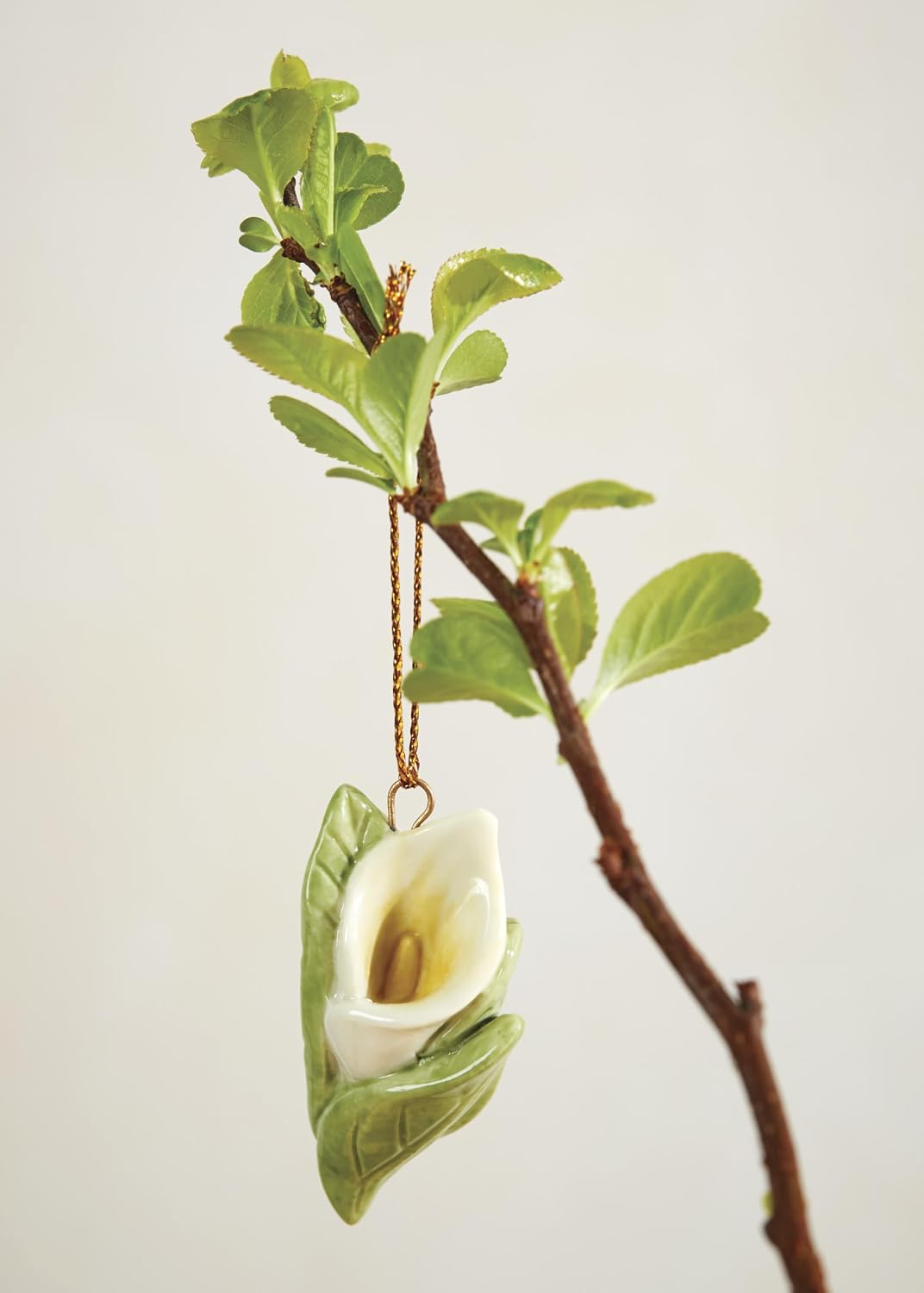 Lenox Celebrate Flowers 10-Piece Mini Hanging Ornament Set
