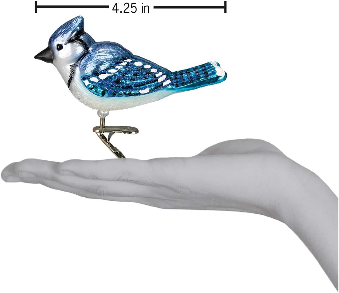 Old World Christmas Ornaments: Bird Watcher Collection Glass Blown Ornaments for Christmas Tree,Bright Blue Jay