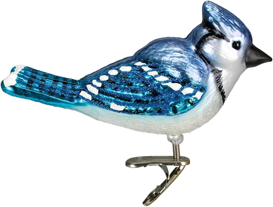 Old World Christmas Ornaments: Bird Watcher Collection Glass Blown Ornaments for Christmas Tree,Bright Blue Jay