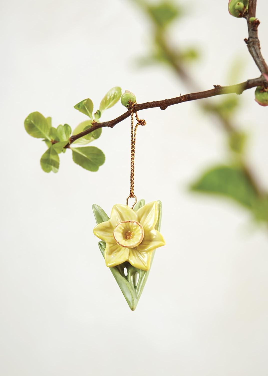 Lenox Celebrate Flowers 10-Piece Mini Hanging Ornament Set