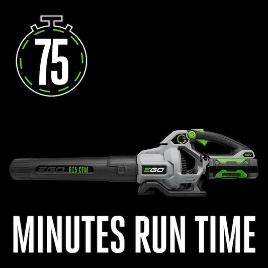 POWER+ 56-volt 615-CFM 170-MPH Battery Handheld Leaf Blower 2.5 Ah