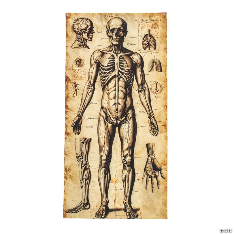 6 Ft. 6 3/4" Human Anatomy Drawings Door Curtain Halloween Decoration