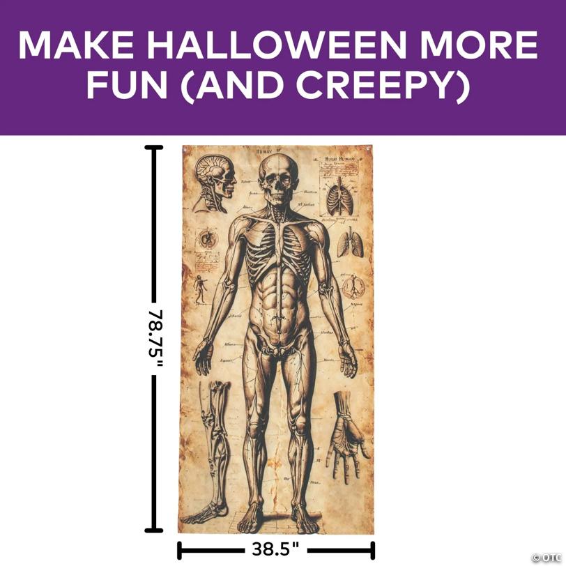 6 Ft. 6 3/4" Human Anatomy Drawings Door Curtain Halloween Decoration