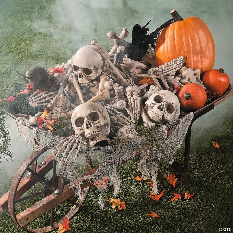 6" - 12" Bag of Human Bones Plastic Halloween Decoration - 28 Pc.