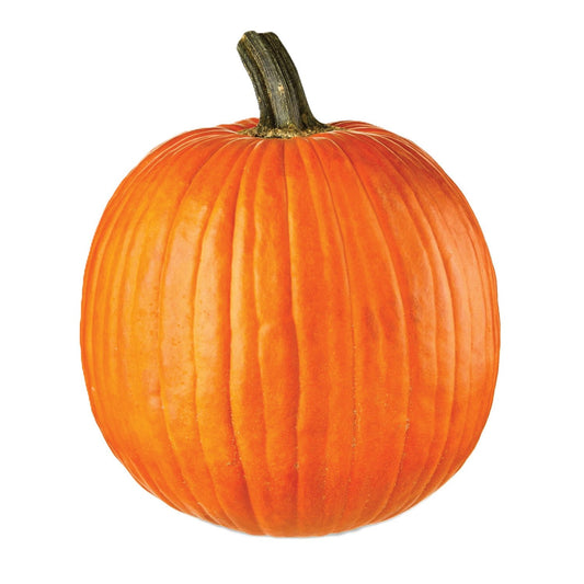 Pumpkin, 1 ct. | USA Decoration®